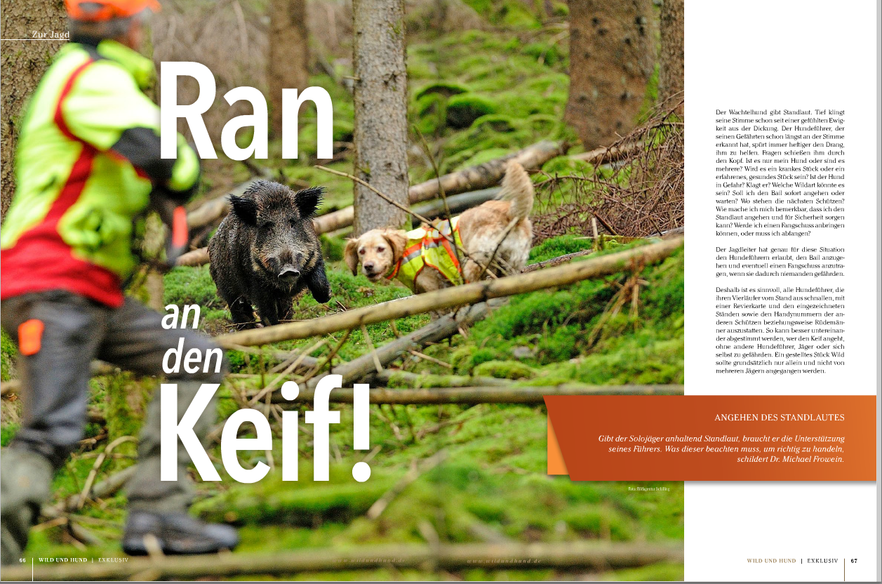 Wild und Hund Exklusiv Der Solojäger Verein für Deutsche